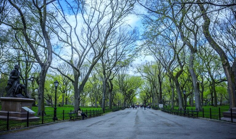 Central Park