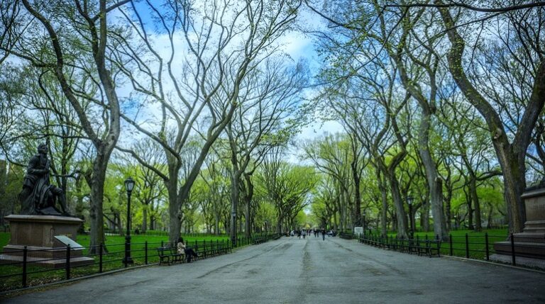 Central Park