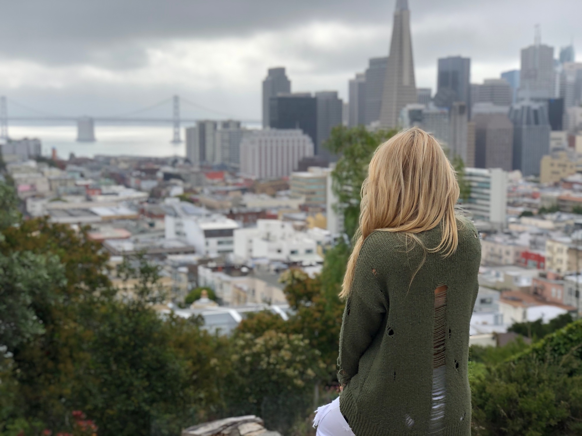 San Francisco cityscape