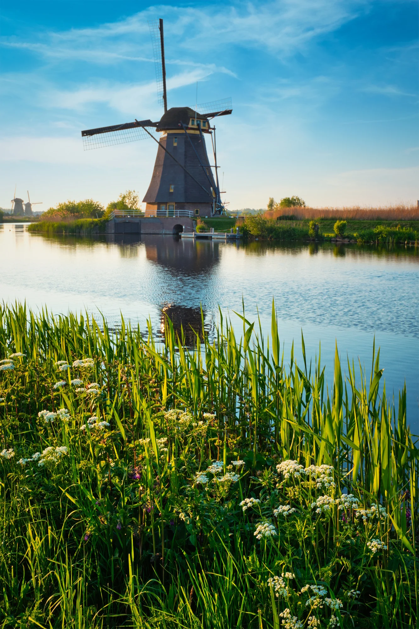 Holland
